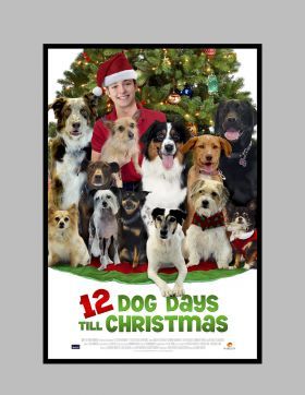 12 kutya egy nap karácsonyig (2014)