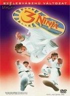 3 nindzsa nem hagyja magát (1995)