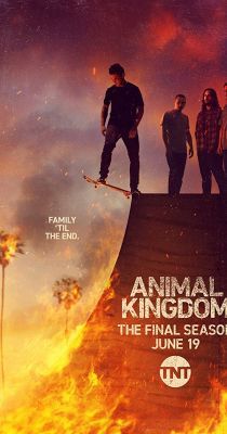 Animal Kingdom 6. évad (2022)