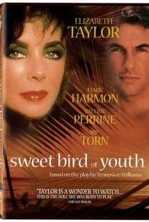 Az ifjúság édes madara (1989)