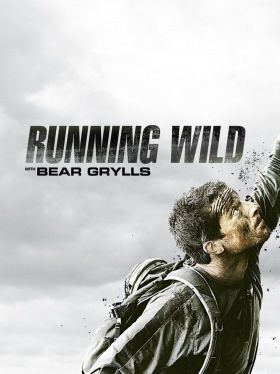 Bear Grylls: Sztárok a vadonban 2. évad (2015)