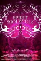 A lélek molekulája - DMT: The Spirit Molecule (2010)