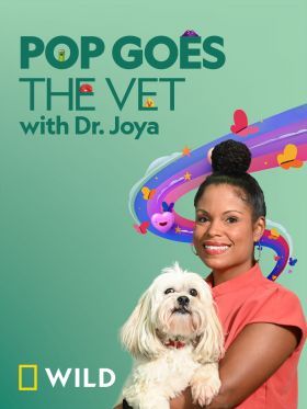 Dr. Joya: Házi kedvencek rossz bőrben 1. évad