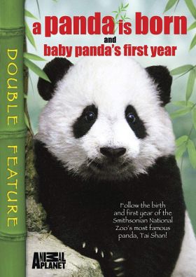 Egy pandabébi első éve (2007)