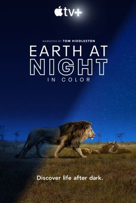 Földünk éjjel színesben 1. évad (2020)