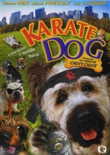 Karate kutya (2004)