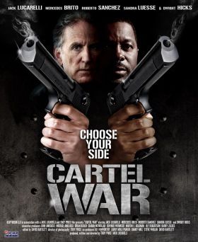 Kartell háború (2010)