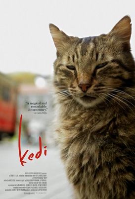 Kedi: Isztambul macskái (2016)