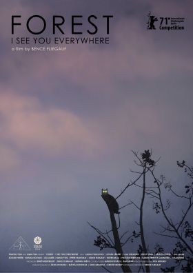 Rengeteg - Mindenhol látlak (Forest: I See You Everywhere) (2021)