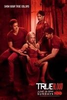 True Blood - Inni és élni hagyni 7. évad (2014)